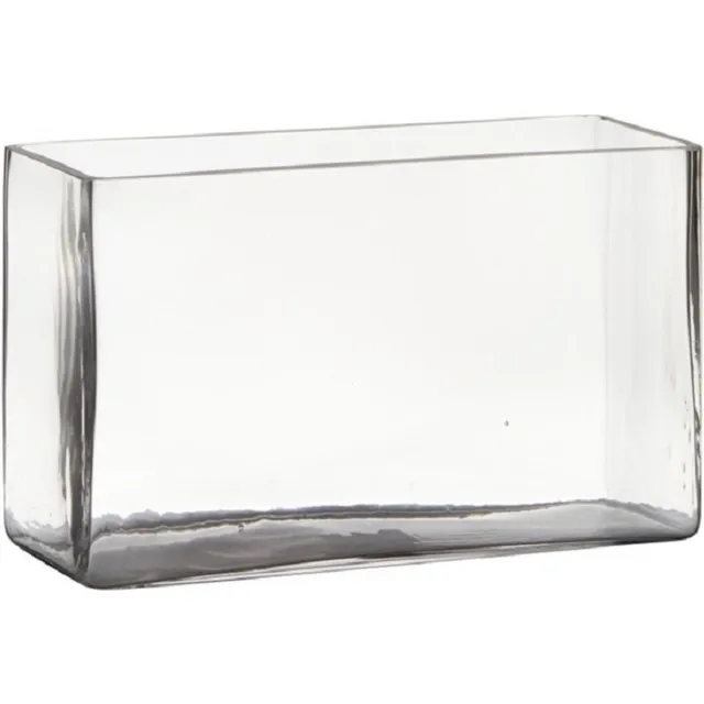 Hakbijl Glass Vaas - transparant - rechthoek - glas - 25 x 10 x 15 cm - Bloemstukje/terrarium vaas