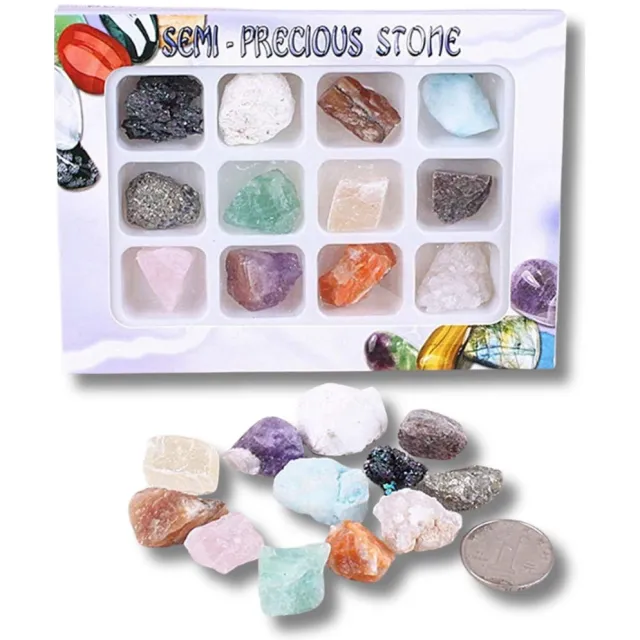 Winkrs Kristallen en Ruwe Edelstenen in doosje - Mix van 12 - Geschenkset - Onbewerkte Stenen & Kristallen 20-30MM 12x Onbewerkte edelsteen
