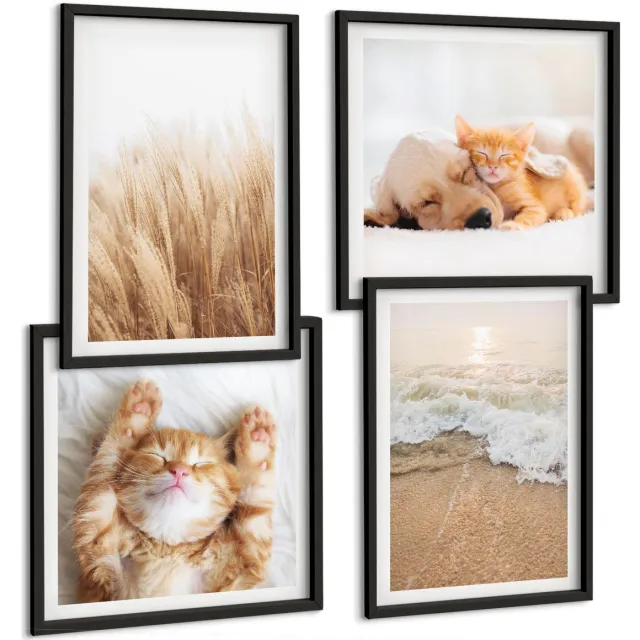 TULUP 4-Delige Schilderij Set - Schattige dieren Katten Honden Strand Gras Boho - 40 x 40 cm en 40 x 60 cm - Stijlvolle Wanddecoratie - Interieur - Interieur Decoratie Zwarte lijst