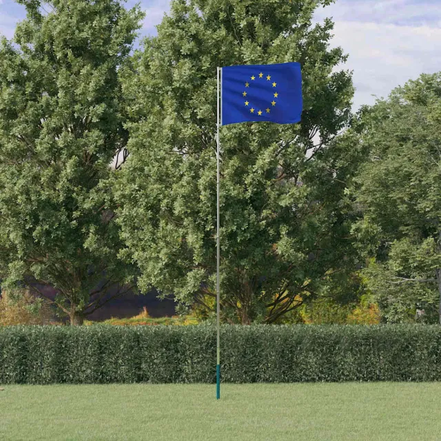 vidaXL Vlag met vlaggenmast Europa 5,5 m aluminium Zilver