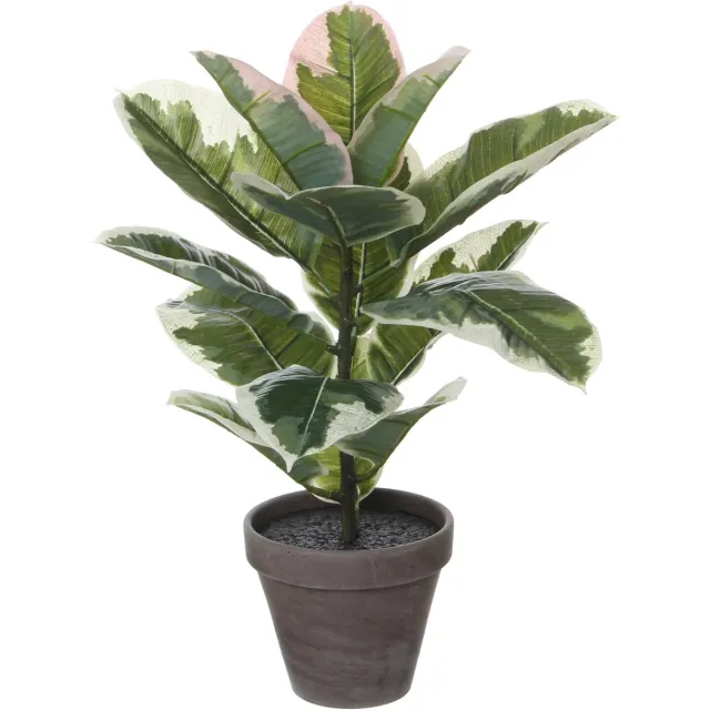 Mica Decorations Kunstplant Ficus 'Elastica' Groen - H 47cm - Keramiek sierpot - Mica Decorations Variegated, groen