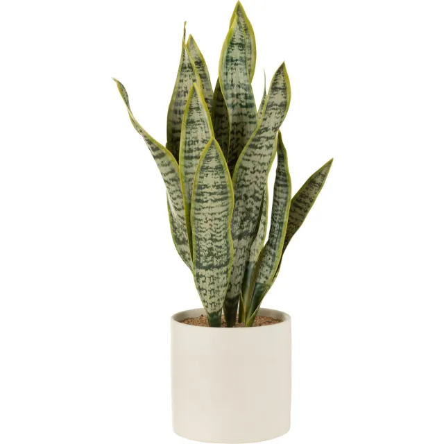 J-Line plant Sansevieria In Pot - kunststof - groen - extra large