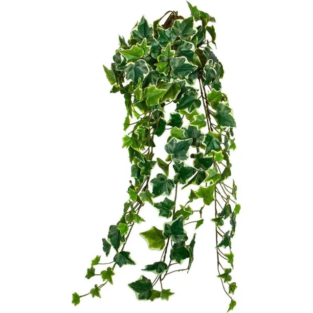 HTT Decorations Kunstplant Hedera bont L80 cm kunstplanten Groen