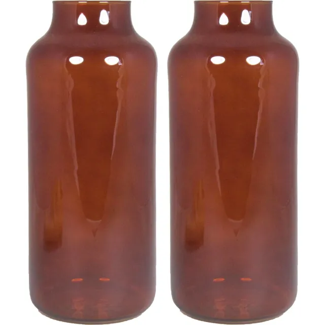 Floran bloemenvazen - 2x stuks - bruin/transparant glas - H35 x D15 cm
