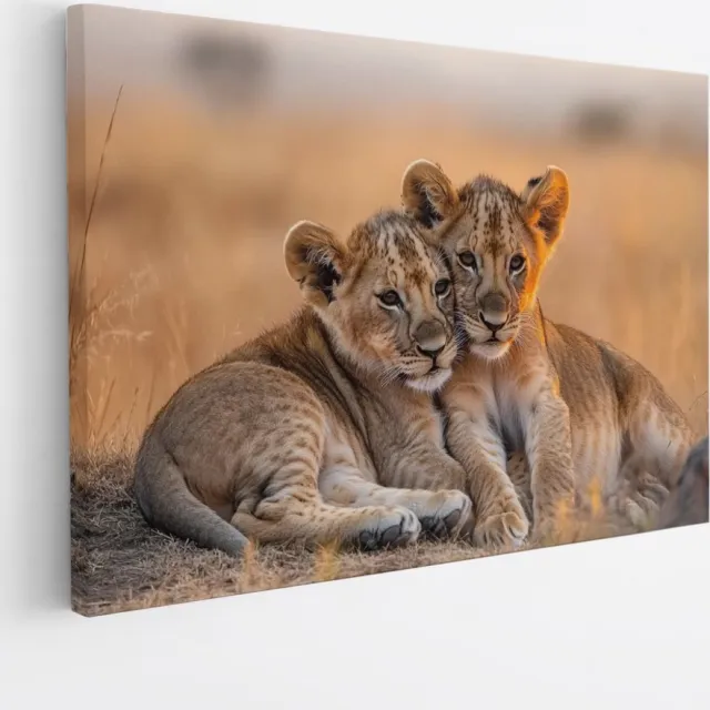 Saammp Canvas Schilderij - Leeuwenwelpen liggen tegen elkaar aan - Dieren - Natuur - 60x40 - Foto op canvas - Wanddecoratie - Muurdecoratie Woonkamer - Slaapkamer decoratie - Canvas Print Multicolor