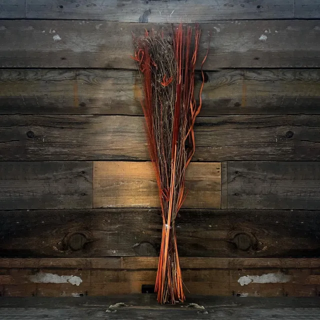 WDMT Droogboeket | Terracotta bloemen | 75 cm | Decoratieve droog bloemen | Dried flowers Rood