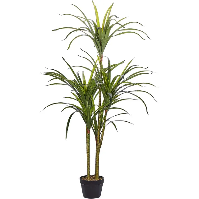 Beliani DRACAENA ANITA - Kunstplant - Groen - Synthetisch materiaal