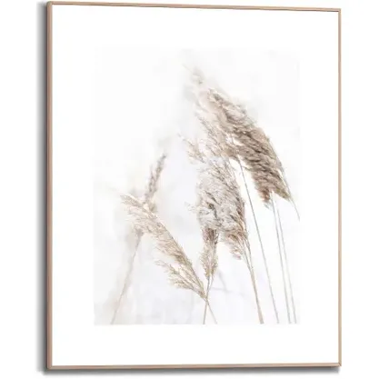 REINDERS Schilderij Pampasgras - 40x50 Cm - Wit - Hout