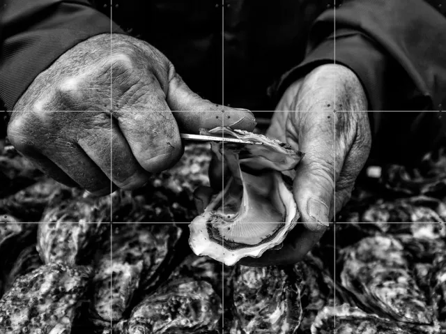 IXXI Oyster Farmer, Manu Allicot & Various - 80 x 60 cm - Grote wanddecoratie en posters - Vintage, Klassiek, Fotografie, Eetkamer, Keuken, Eten & Monochroom / Warme kleuren / Zwart / Zwart en wit