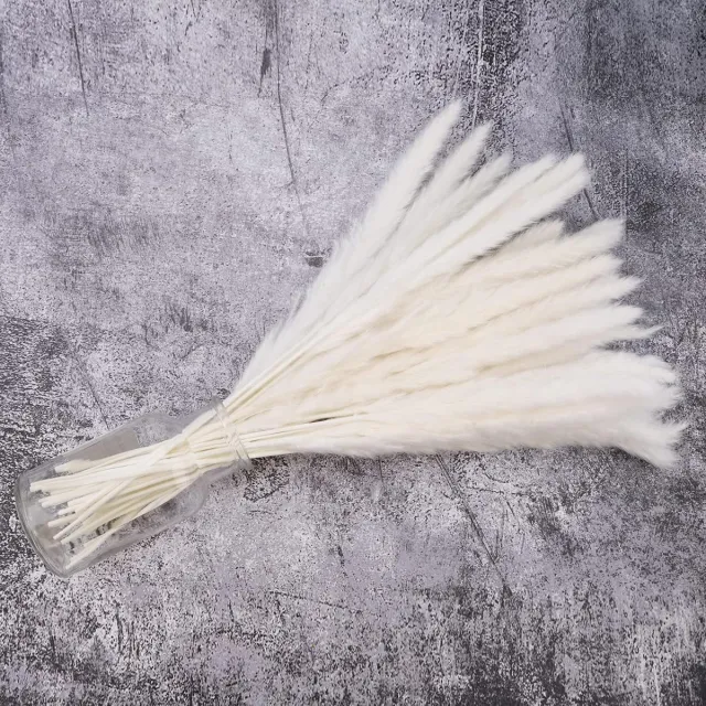 JGS Premium - Gedroogd pampasgras 30 stuks 40 cm - Kunstmatig boho home decor - Natuurlijke Phragmites Communis - Bloemen voor vazen en boeket - Bruiloften en feestdecoratie naturel