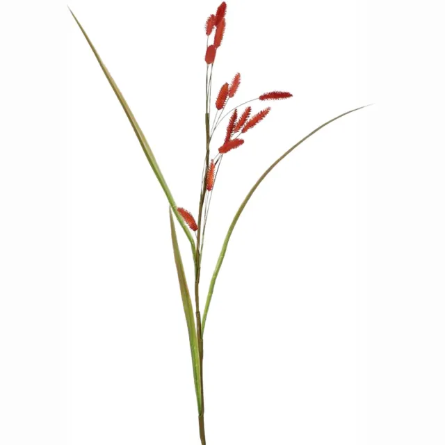 Viv! Home Luxuries Bunny Tails - gras - zijden bloem - rood - hazenstaartje - 114cm