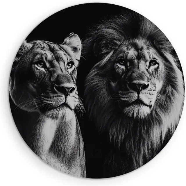Saammp Forex Muurcirkel - Leeuwin en leeuw - Portret - Dieren - Natuur - Ø 90 - Wandcirkel - Wanddecoratie Cirkel - Muurdecoratie Woonkamer - Slaapkamer decoratie - Rond Schilderij