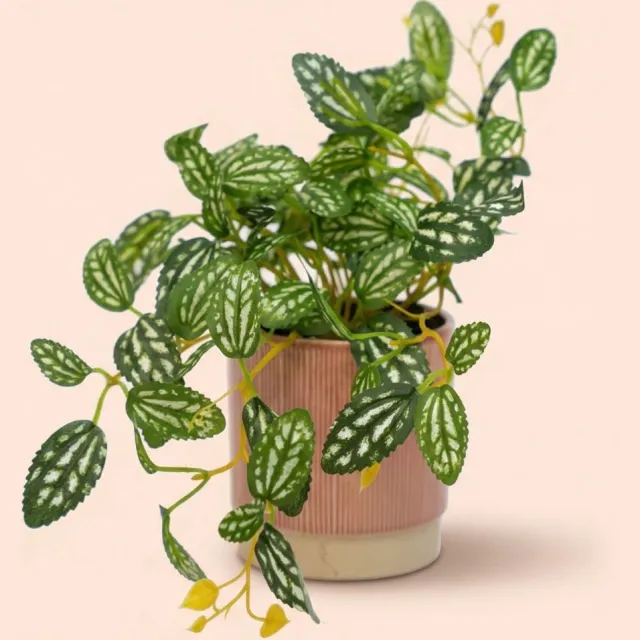 Emerald Pilea - Hangplant in pot - Kunstplant - Groen/wit - ↑ 19 cm