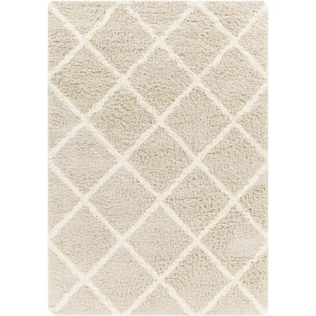 Surya Jane vloerkleed hoogpolig shaggy boho beige wit