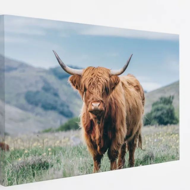 Saammp Canvas Schilderij - Schotse Hooglander Koe - Bloesem - Landschap - Dieren - Natuur - 90x60 - Foto op canvas - Wanddecoratie - muurdecoratie Woonkamer - Slaapkamer decoratie - Canvas Print Multicolor