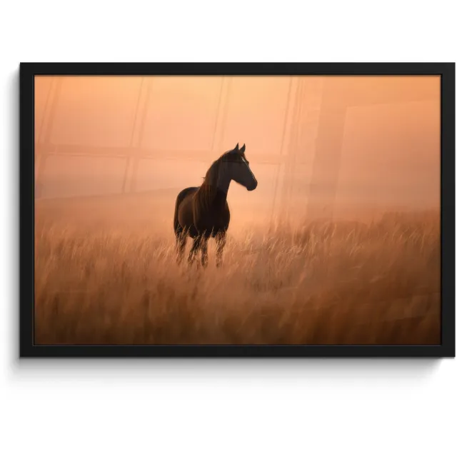 FrameYourWall Poster in lijst - Fotolijst 60x40 cm - Posters - Paard - Grasveld - Zonsondergang - Posterlijst zwart - Decoratie - Wanddecoratie woonkamer - Muurdecoratie slaapkamer