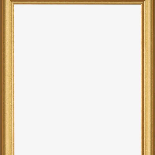 Dutch Frame Factory Fotolijst 35x50 cm - MDF - Goud Mat - Limburg
