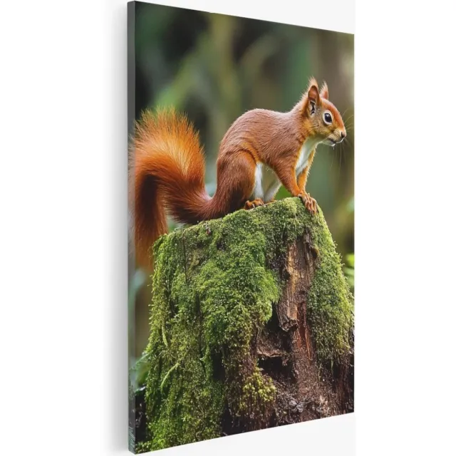 Saammp Canvas Schilderij - Natuur - Jungle met zon - landschap - 50x70 - Foto op canvas - Wanddecoratie - Muurdecoratie Woonkamer - Slaapkamer decoratie - Canvas Print Multicolor