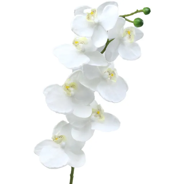 Viana Kunst orchidee kunstbloem wit Ø6,5-8cm 77cm