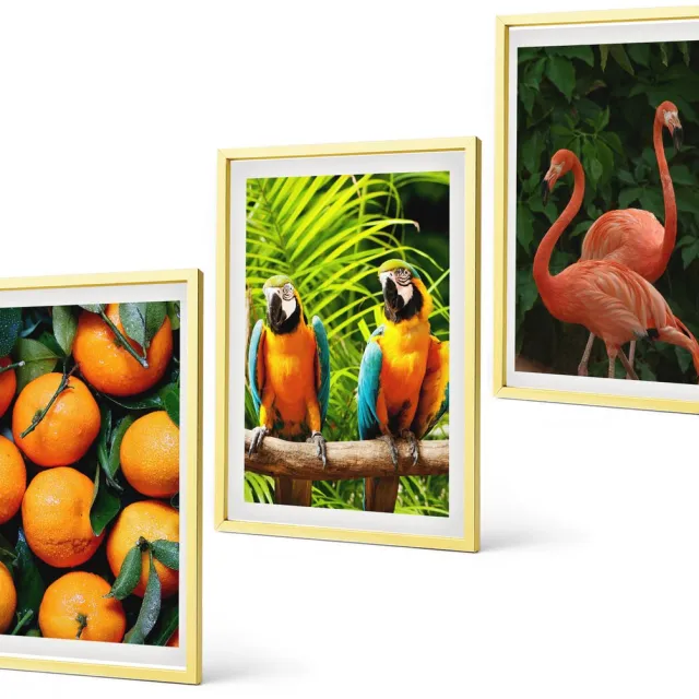 Coloray 3-Delige Schilderij Set - Berglandschappen Met Water, Lucht En Bloemenvelden - 40 x 40 cm En 40 x 60 cm - Stijlvolle Wanddecoratie - Interieur - Woonkamer Decoratie Gouden lijst