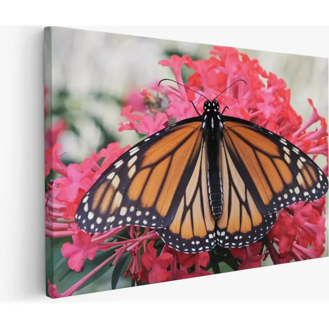 Saammp Muurcirkel Hout - Bloesemtakken met roze bloemen - Natuur - Abstract - Ø 90 - Wandcirkel - Wanddecoratie Cirkel - Muurdecoratie Woonkamer - Kantoor Decoratie