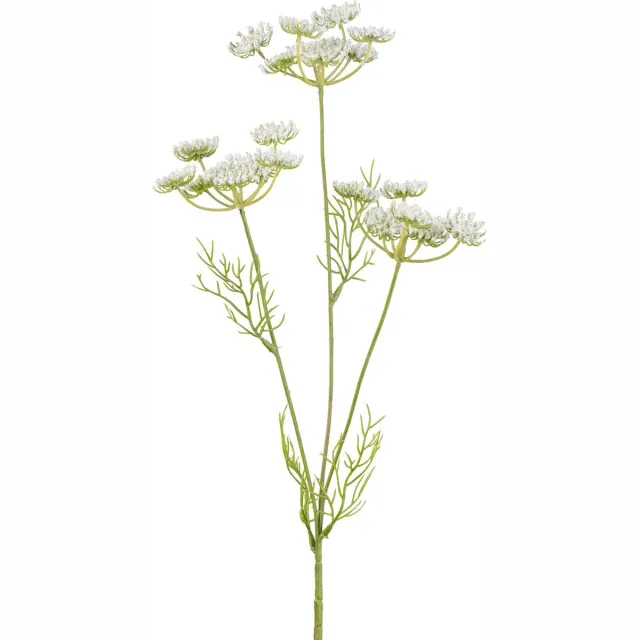 Flourify , Ammi Majus, (witte dille) - 6 stuks - kunstbloem - kunstplant - kamerplanten - nepbloemen - wit/groen - 50 cm