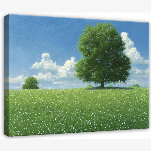 WALLARENA Schilderij op canvas - 60x40 cm - afbeelding van een weide met bomen en natuur - Geschikt voor slaapkamer, woonkamer, keuken Veelkleurig