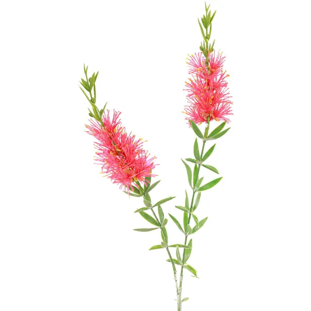Viana Kunstbloemen Rood Karmijn Cilinderreinigers 70cm 3st