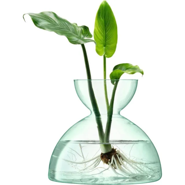 L.S.A. Canopy Vaas - Ø 20,7 cm - 18,2 cm Hoog Transparant