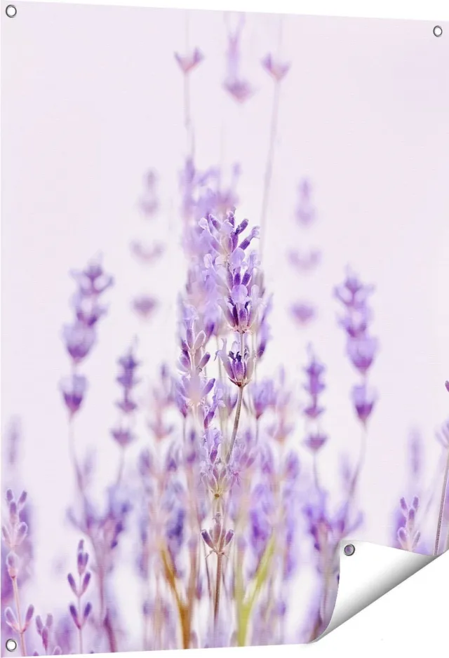 Gards Tuinposter Paarse Lavendel Bloemen - 80x100 cm - Tuindoek - Tuindecoratie - Wanddecoratie buiten - Tuinschilderij Multikleur