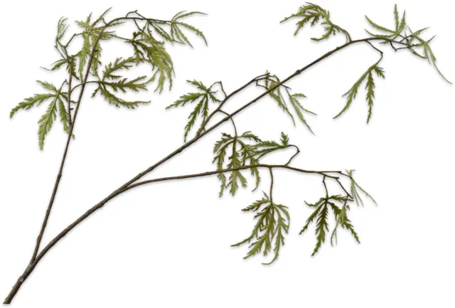 Silk-ka Kunsttak - esdoorn - groen - H93 cm
