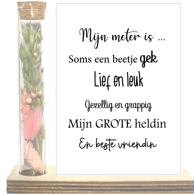 Stars 4 you Droogbloemen in buisje liefste Meter | roze | liefste Meter | allerliefste Meter | meter vragen | meter worden | cadeau | de liefste