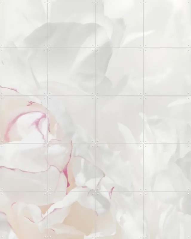 IXXI Peony 21, 1x Studio II & Various - 80 x 100 cm - Grote wanddecoratie en posters - Modern, Minimalisme, Realisme, Abstract, Trap, Gang Wit / Roze