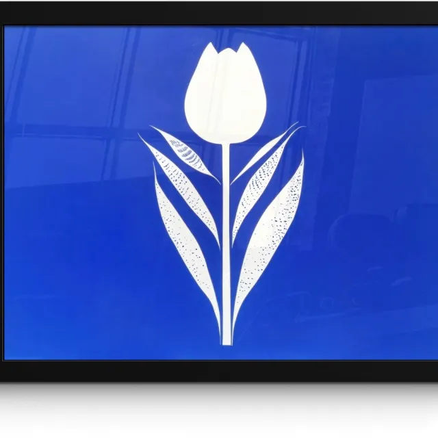FrameYourWall Poster in lijst - Fotolijst 40x30 cm - Posters - Tulp - Minimalistisch - Bladeren - Wit - Posterlijst zwart - Decoratie - Wanddecoratie woonkamer - Muurdecoratie slaapkamer Tulp - Bladeren