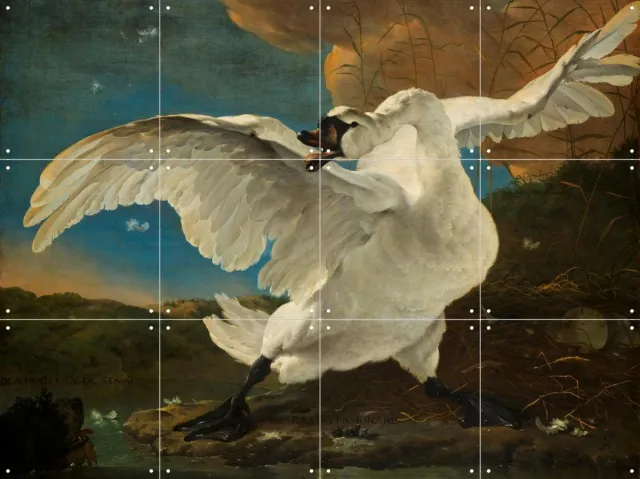 IXXI De bedreigde zwaan, Jan Asselijn & Rijksmuseum - 80 x 60 cm - Grote wanddecoratie en posters - Olieverf, Naturalisme, Klassiek, Woonkamer Koele tinten / Wit