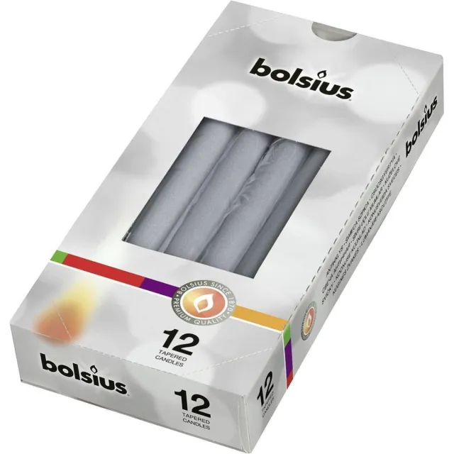 Bolsius Gotische Kaarsen Zilver 245/24 12 stuks - 2 pakken - 24 zilveren kaarsen