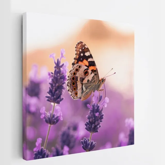 Saammp Canvas Schilderij - Vlinder bij lavendel - Bloemen - Dieren - Natuur - 30x30 - Foto op canvas - Wanddecoratie - muurdecoratie Woonkamer - Slaapkamer decoratie - Canvas Print Multicolor