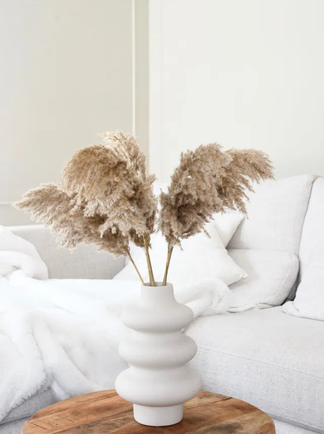 HoA Decorations Pampas pluimen | 15 stuks | Pampasgras | Droogbloemen | 100 cm| Boeket decoratie pluimen | Woondecoratie | Decoratie | Luxury Living | Rietpluimen bruin
