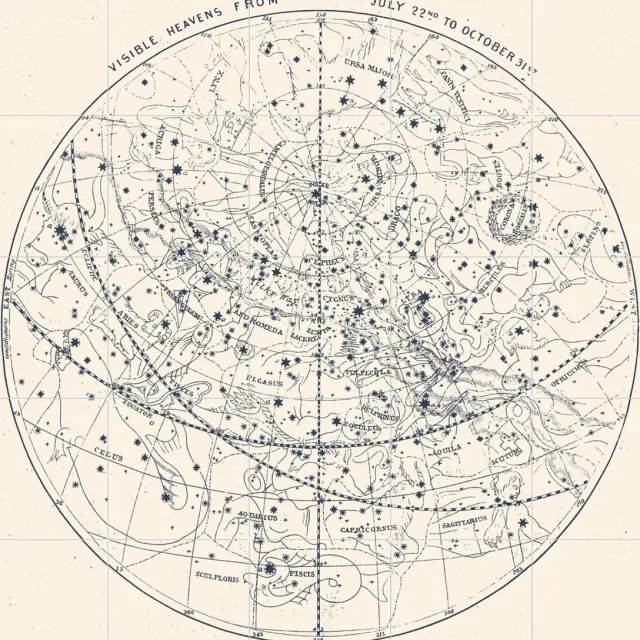 IXXI Visible Heavens_Blue, Aster Edition - 100 x 100 cm - Grote wanddecoratie en posters - Illustraties, Technische Tekening, Vintage, Woonkamer Lichte tinten / Blauw