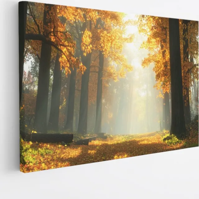 Saammp Canvas Schilderij - pad tussen de hoge bomen - Natuur - Landschap - 45x30 - Foto op canvas - Wanddecoratie - Muurdecoratie Woonkamer - Slaapkamer decoratie - Canvas Print Multicolor