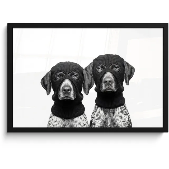 FrameYourWall Poster in lijst - Fotolijst 60x40 cm - Posters - Honden - Bivakmuts - Zwart - wit - Posterlijst zwart - Decoratie - Wanddecoratie woonkamer - Muurdecoratie slaapkamer