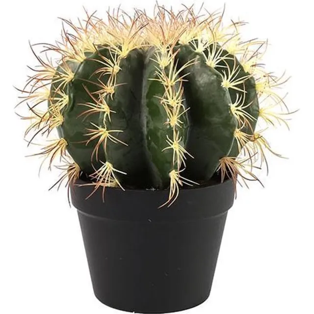 Countryfield Cactus - groen - L18xB18xH30CM - Kunstplant