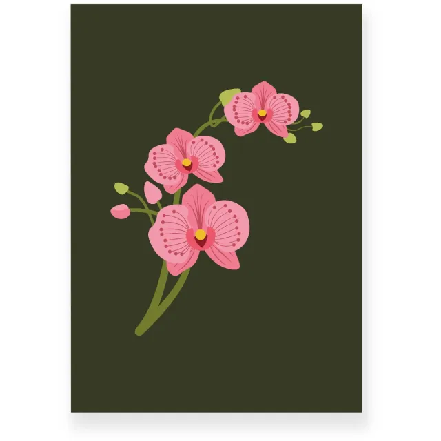 Yisual Poster 50x70 cm - Orchidee - Bloemen - Groen - Roze - Minimalistisch - Botanisch - Muurdecoratie - Wanddecoratie