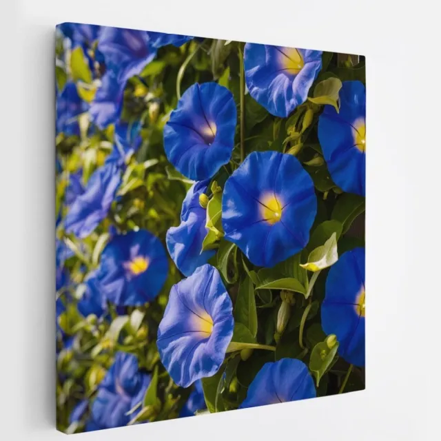 Saammp Canvas Schilderij - Blauwe Winde Bloemen - Natuur - Abstract - 100x100 - Foto op canvas - Wanddecoratie - Muurdecoratie Woonkamer - Kantoor Decoratie Multicolor