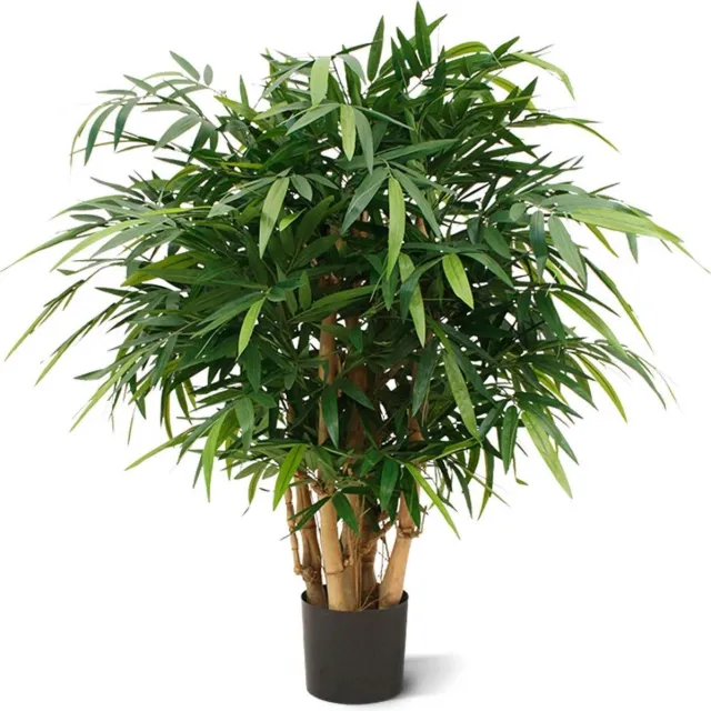 Maxifleur Planten 120412 groen