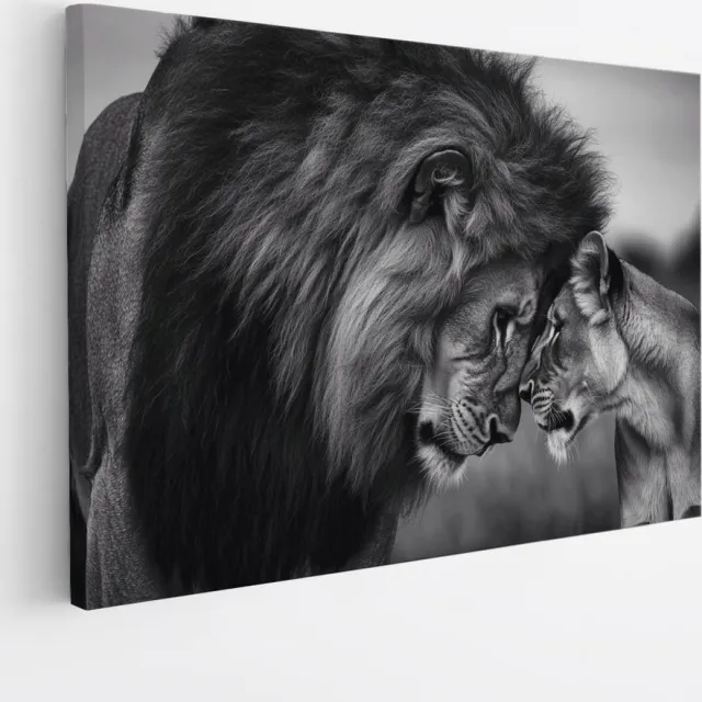 Saammp Canvas Schilderij - Leeuwen koppel - Natuur - Dieren - 90x60 - Foto op canvas - Wanddecoratie - Muurdecoratie Woonkamer - Slaapkamer decoratie - Canvas Print Multicolor