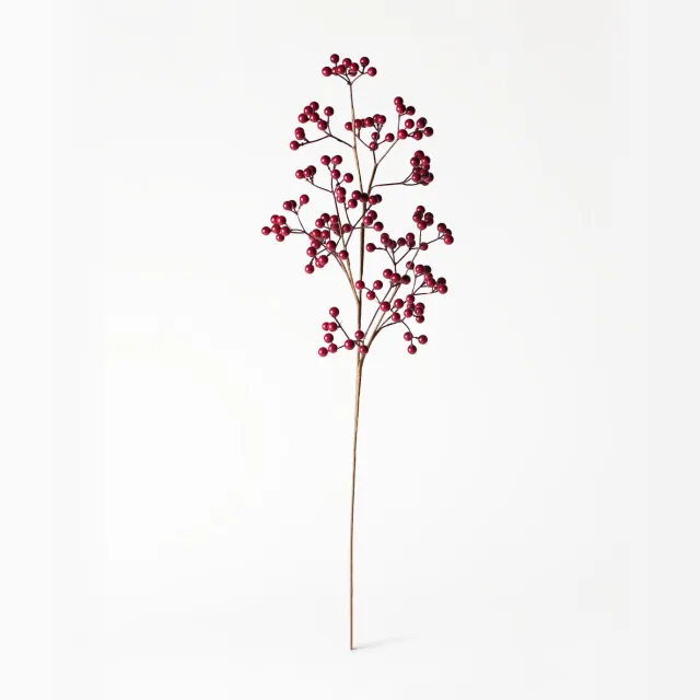 HEMA Kunsttak met besjes 80x14x6cm