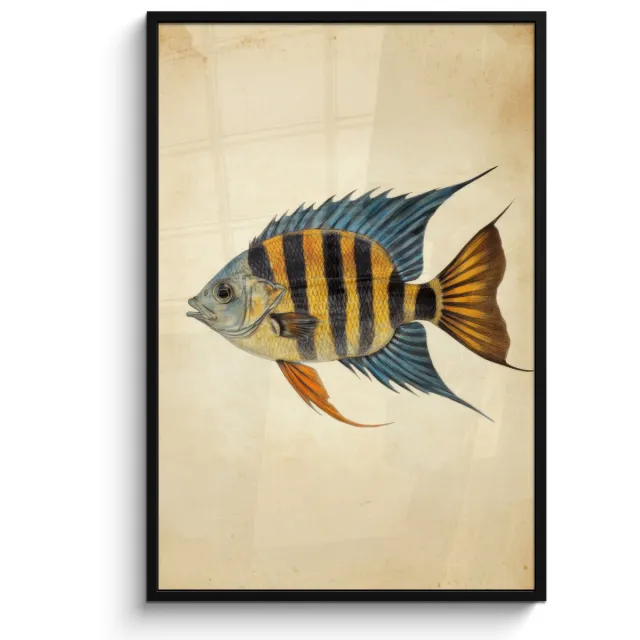 FrameYourWall Poster in lijst - Fotolijst 80x120 cm - Posters - Vis - Tropisch - Strepen - Vinnen - Posterlijst zwart - Decoratie - Wanddecoratie woonkamer - Muurdecoratie slaapkamer