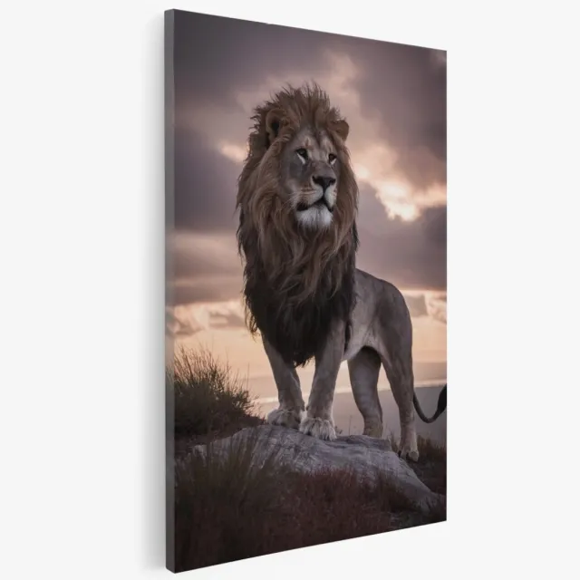 Saammp Canvas Schilderij - Leeuw op rots - Afrika - Dieren - 40x60 - Foto op canvas - Wanddecoratie - Muurdecoratie Woonkamer - Slaapkamer decoratie - Canvas Print Multicolor