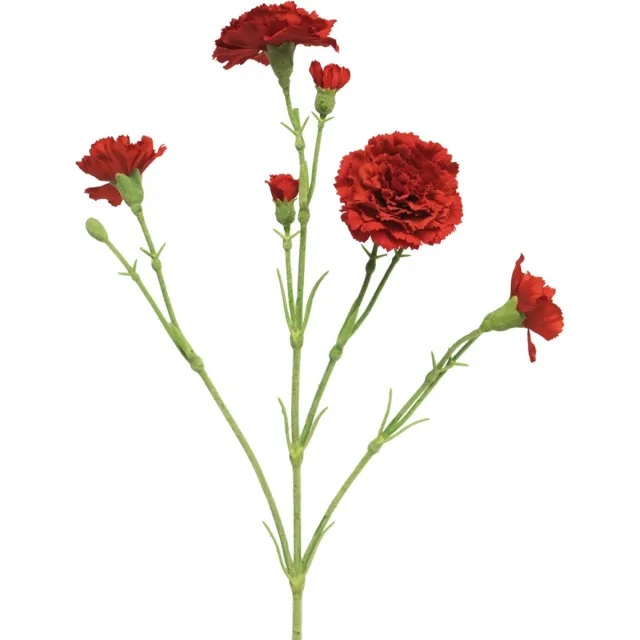 Erutan avon (Best) Dianthus Charly red 62 cm kunstbloem Erutan Avon rood